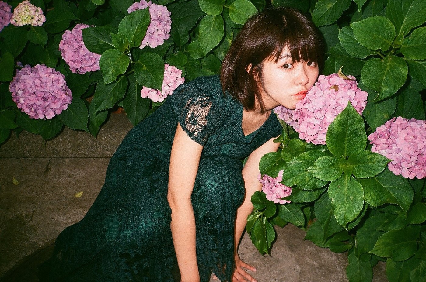 早桜1