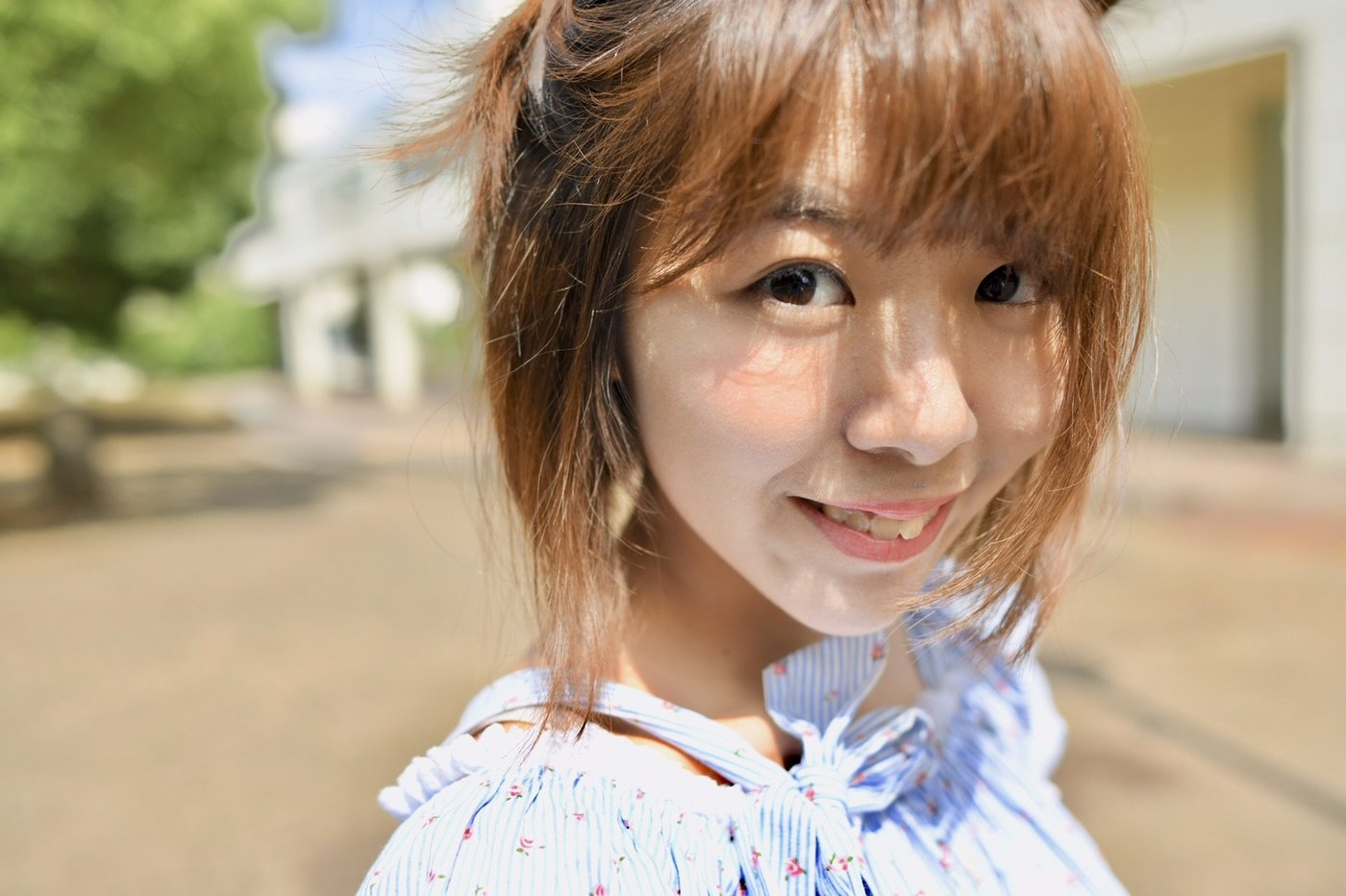 早桜4