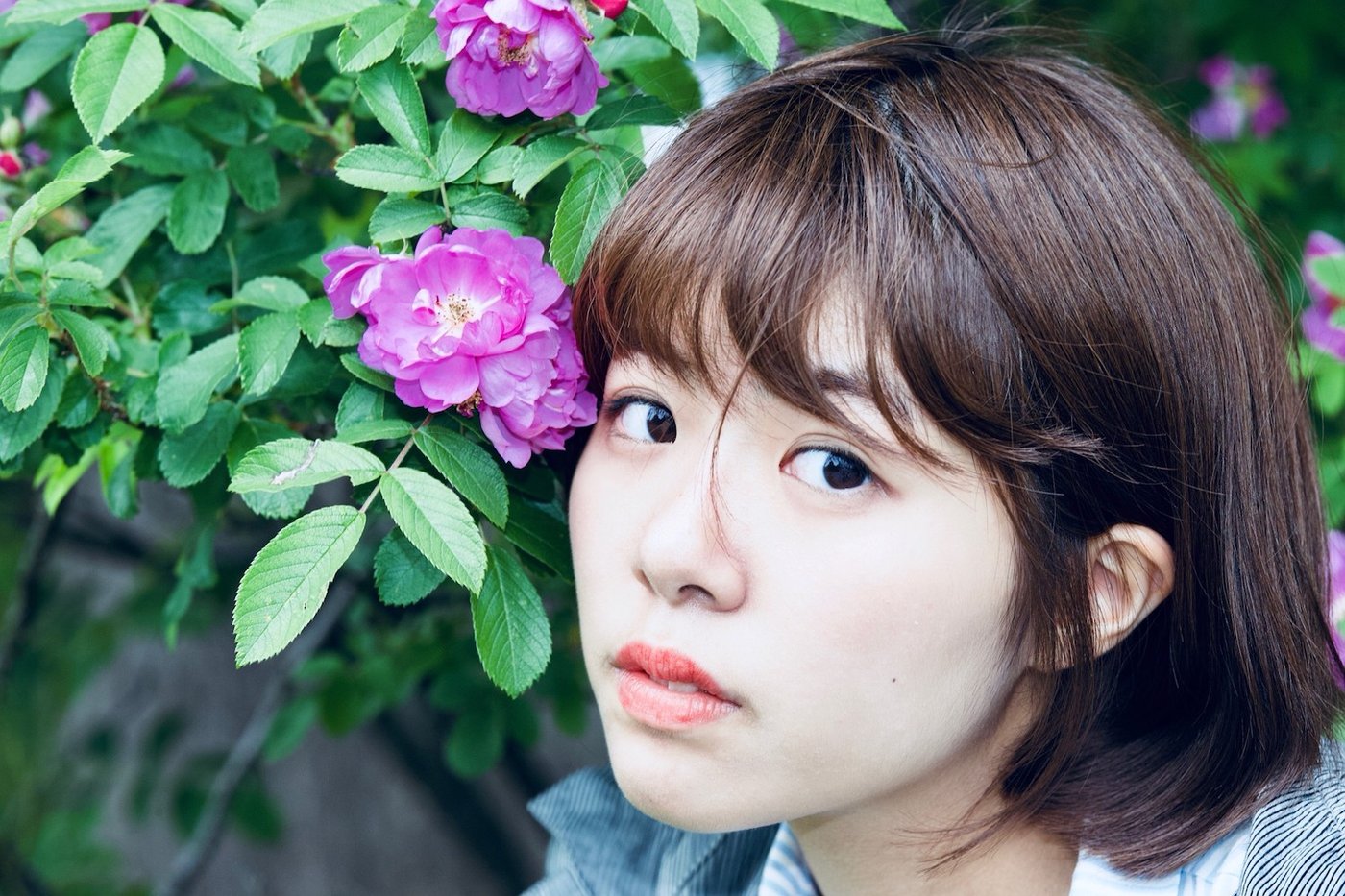 早桜5