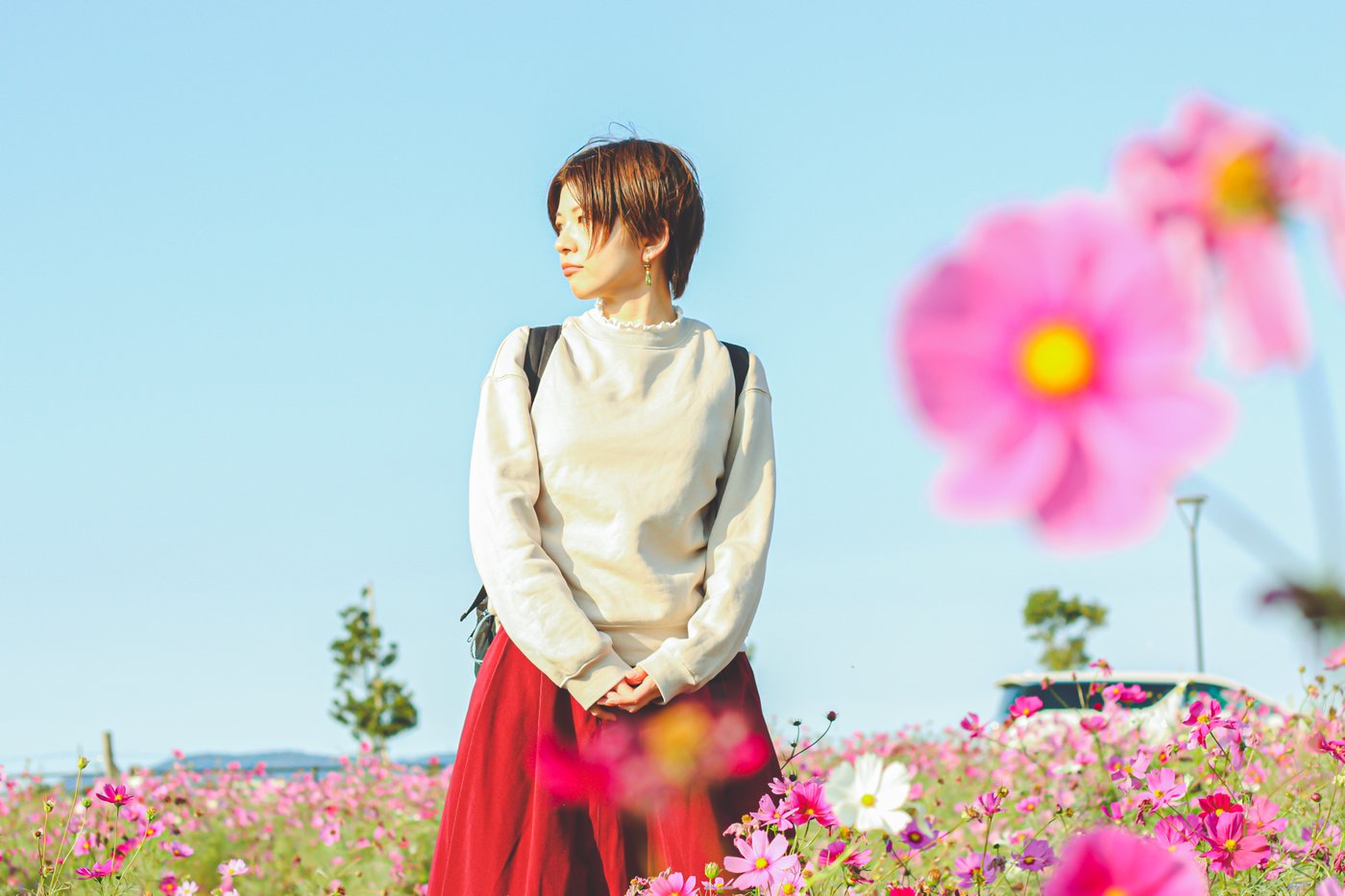 しろ6
