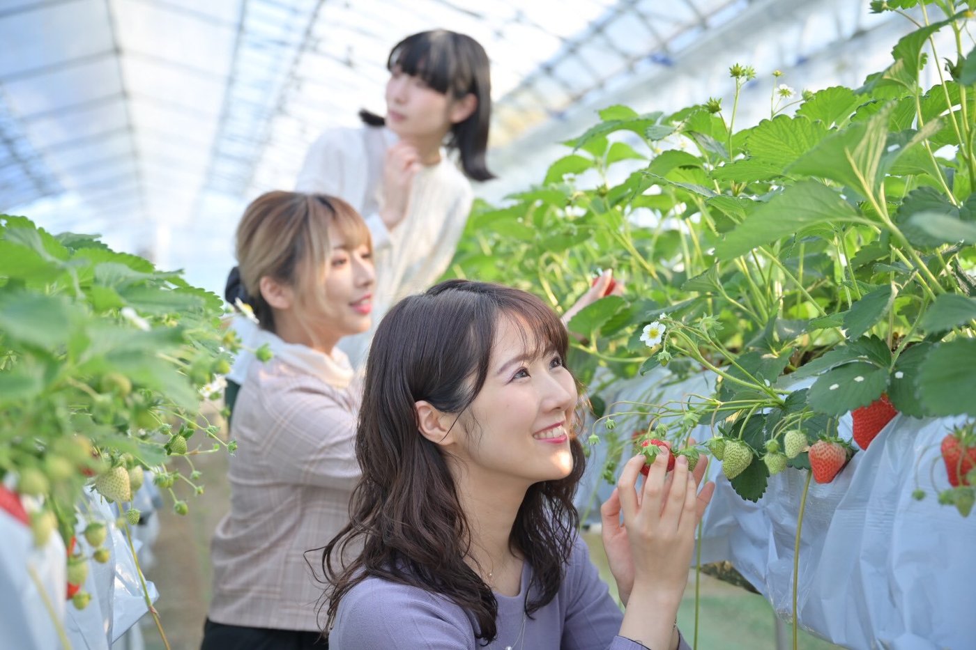 高遠琳子3