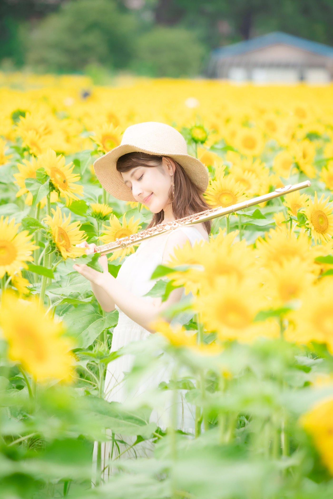 日野真奈美6