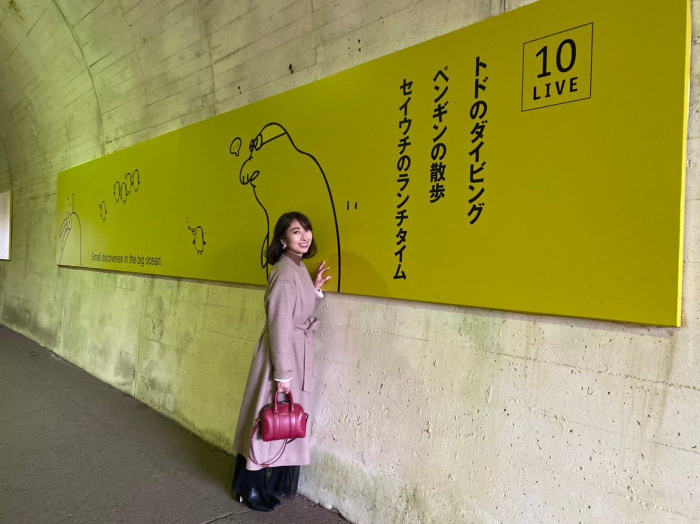 わんたん2