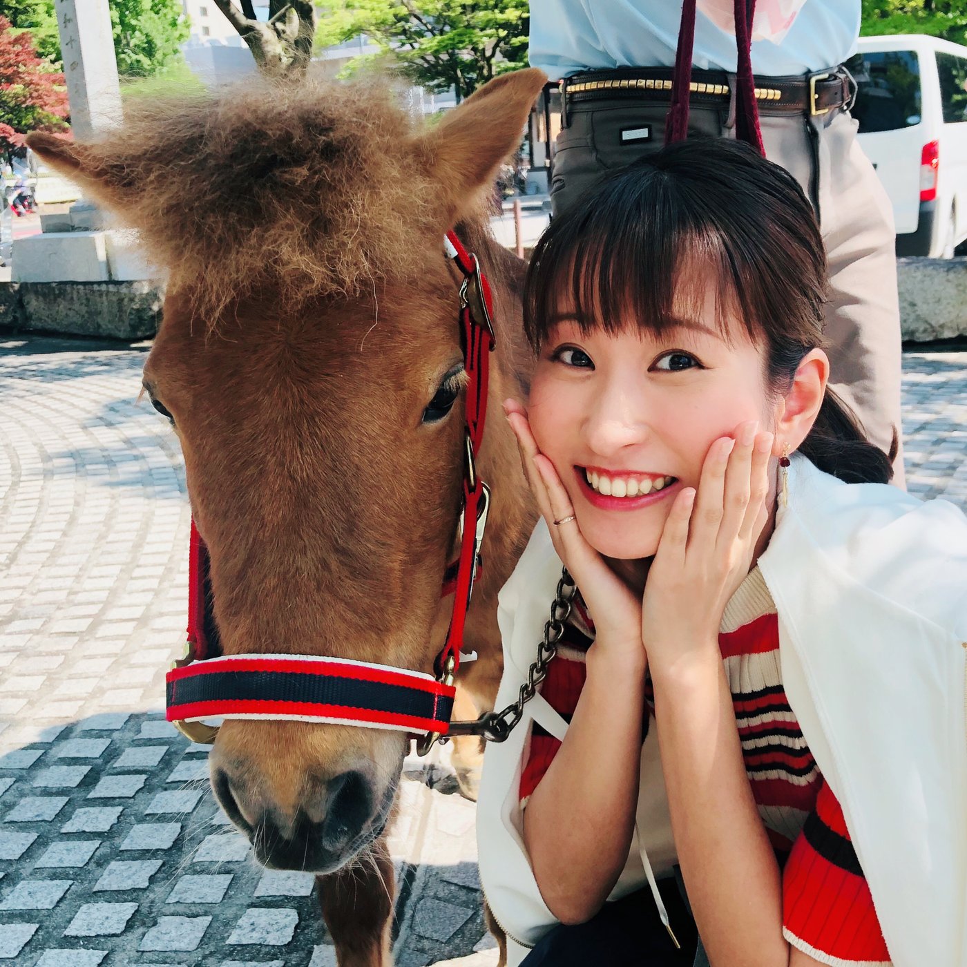 しおり3