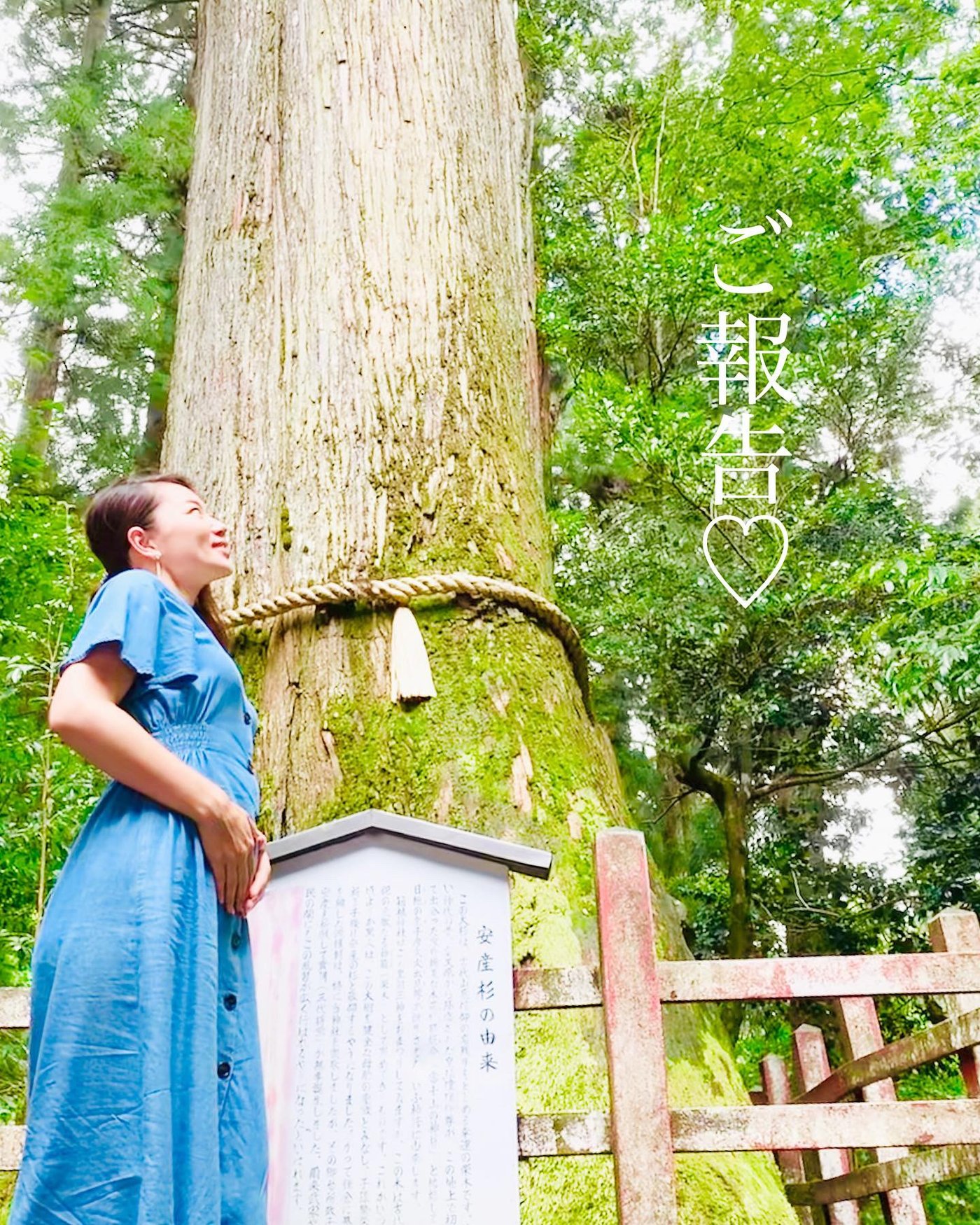 羽深紫織5