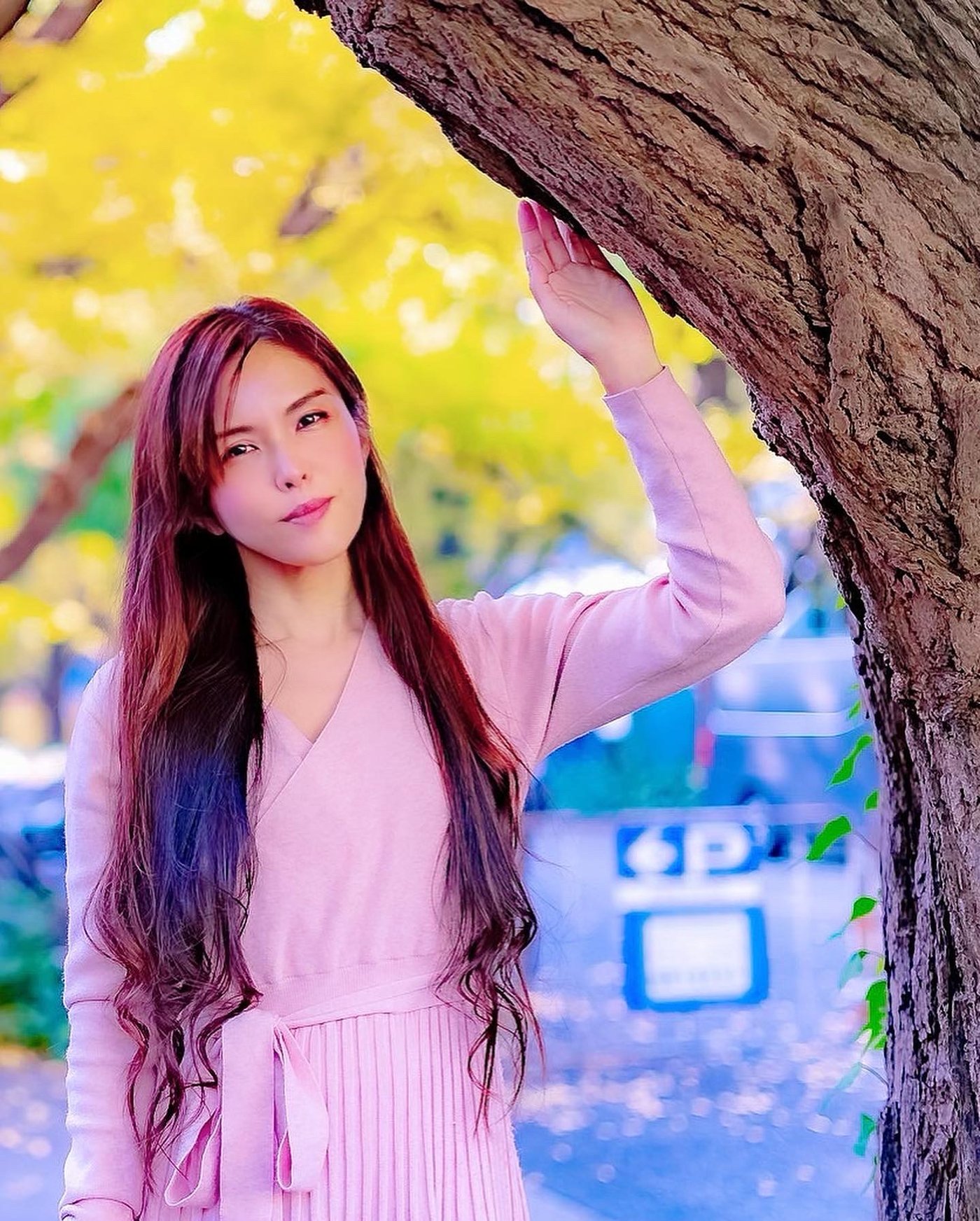 美心8