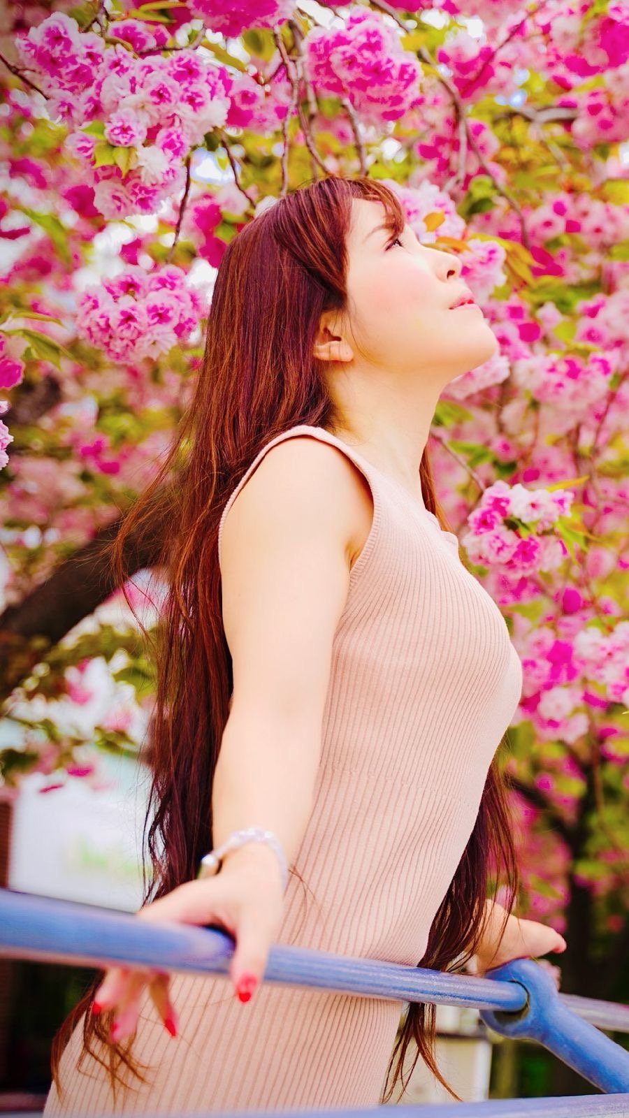 美心5