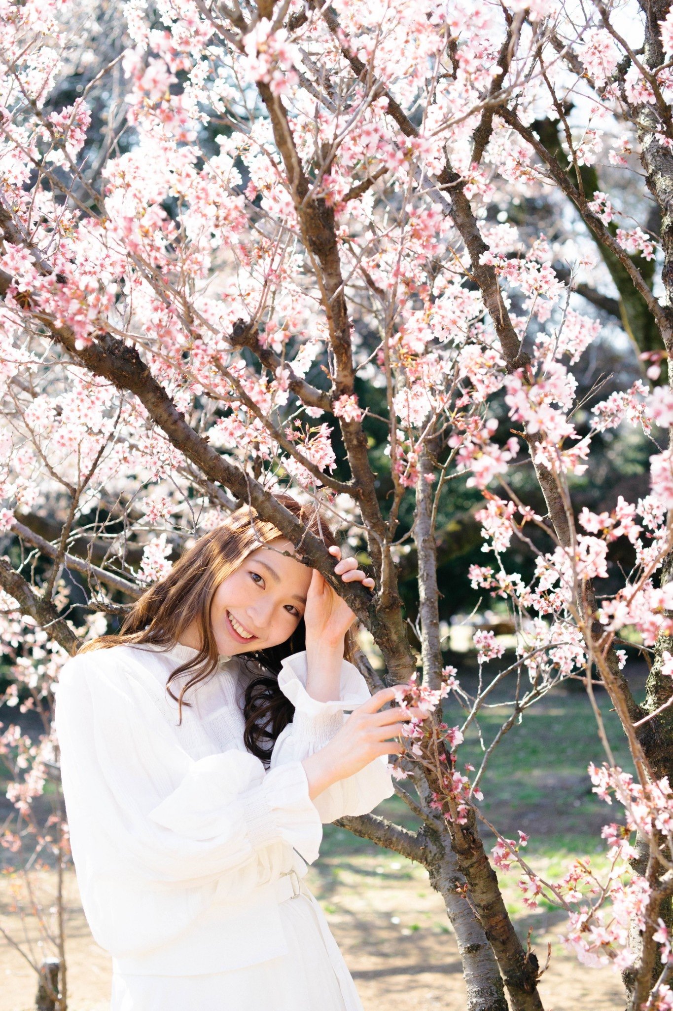 Mao6