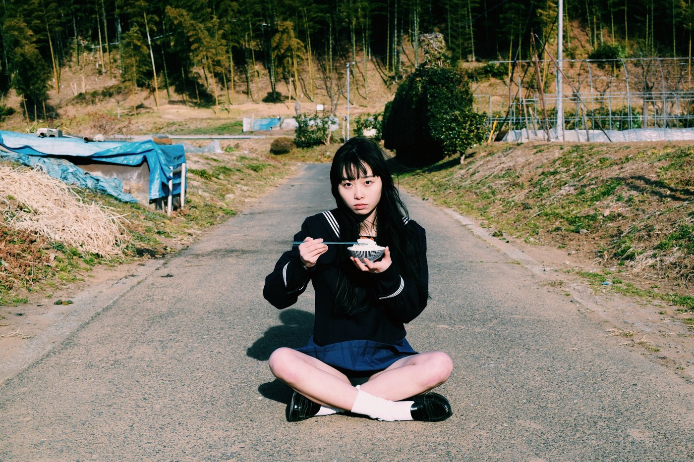 茉      帆3