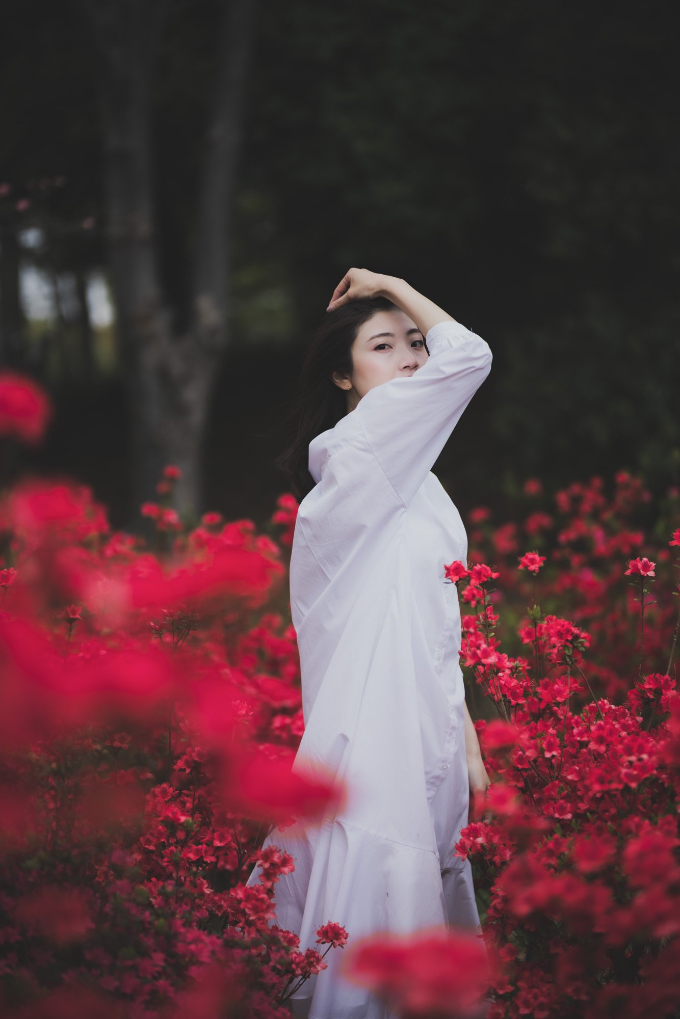 MAI11