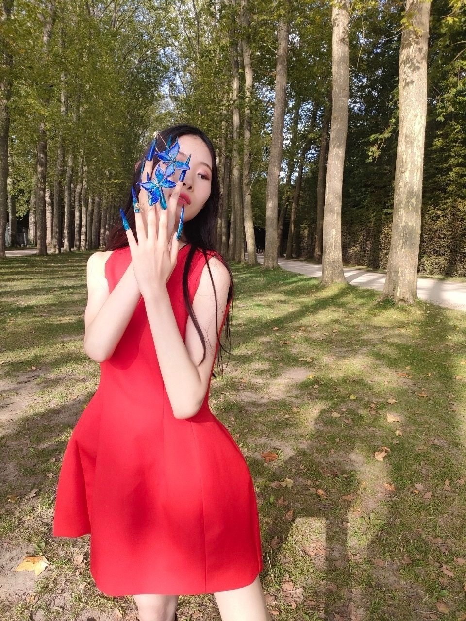 Ailine2