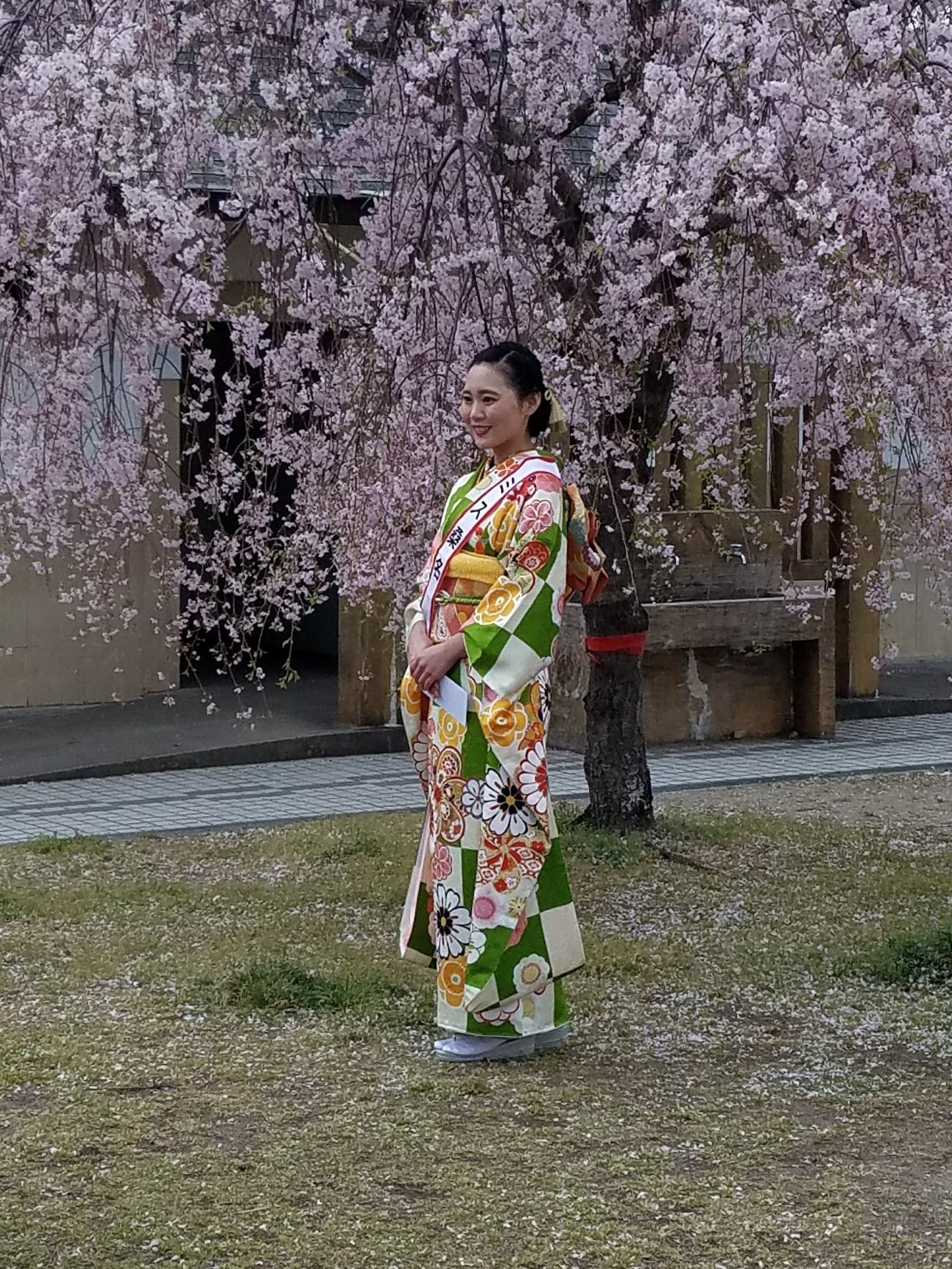 辻本あずさ3