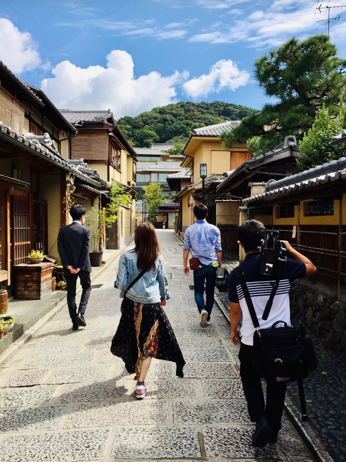 旅猫あや10