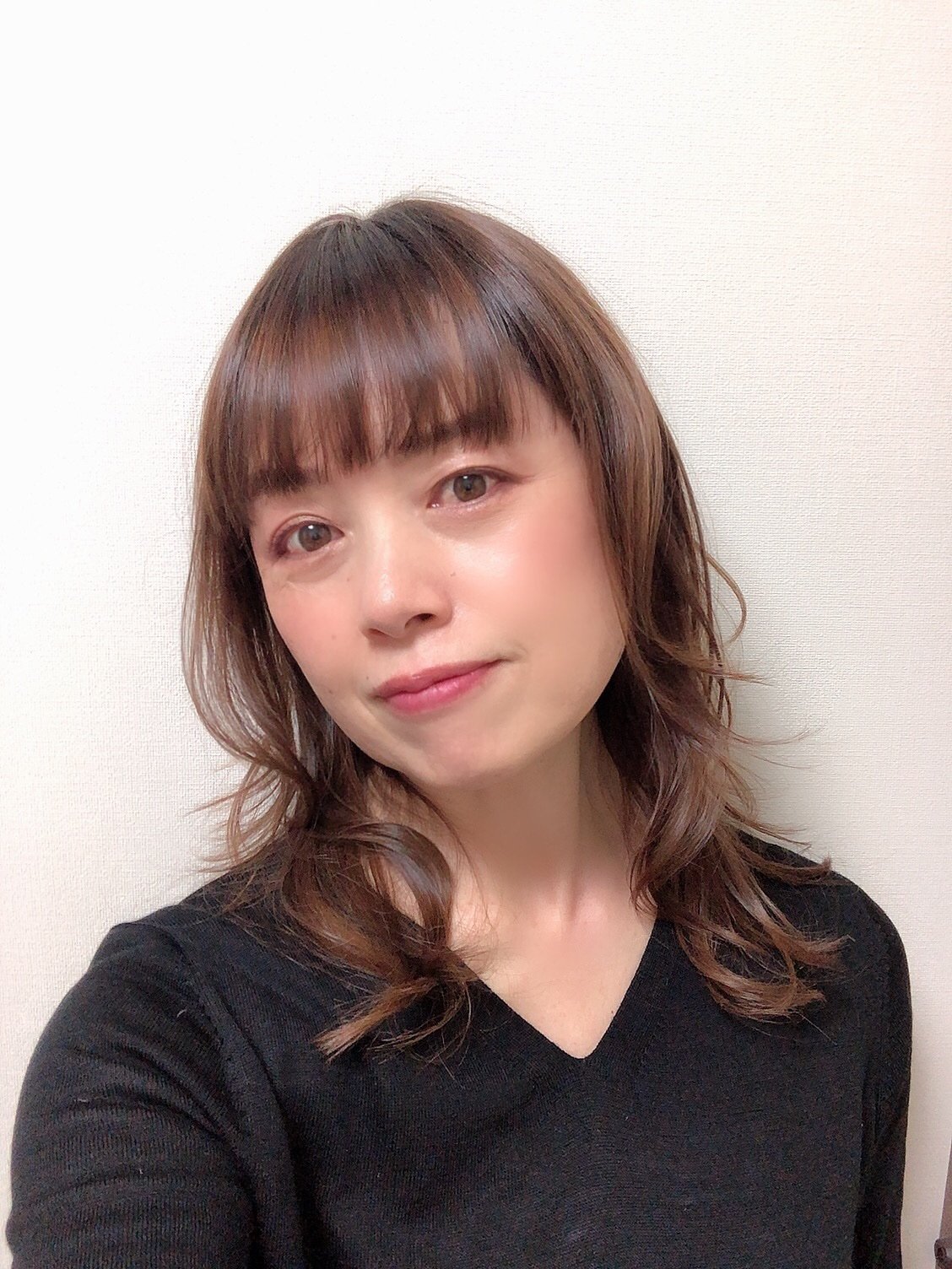旅猫あや1