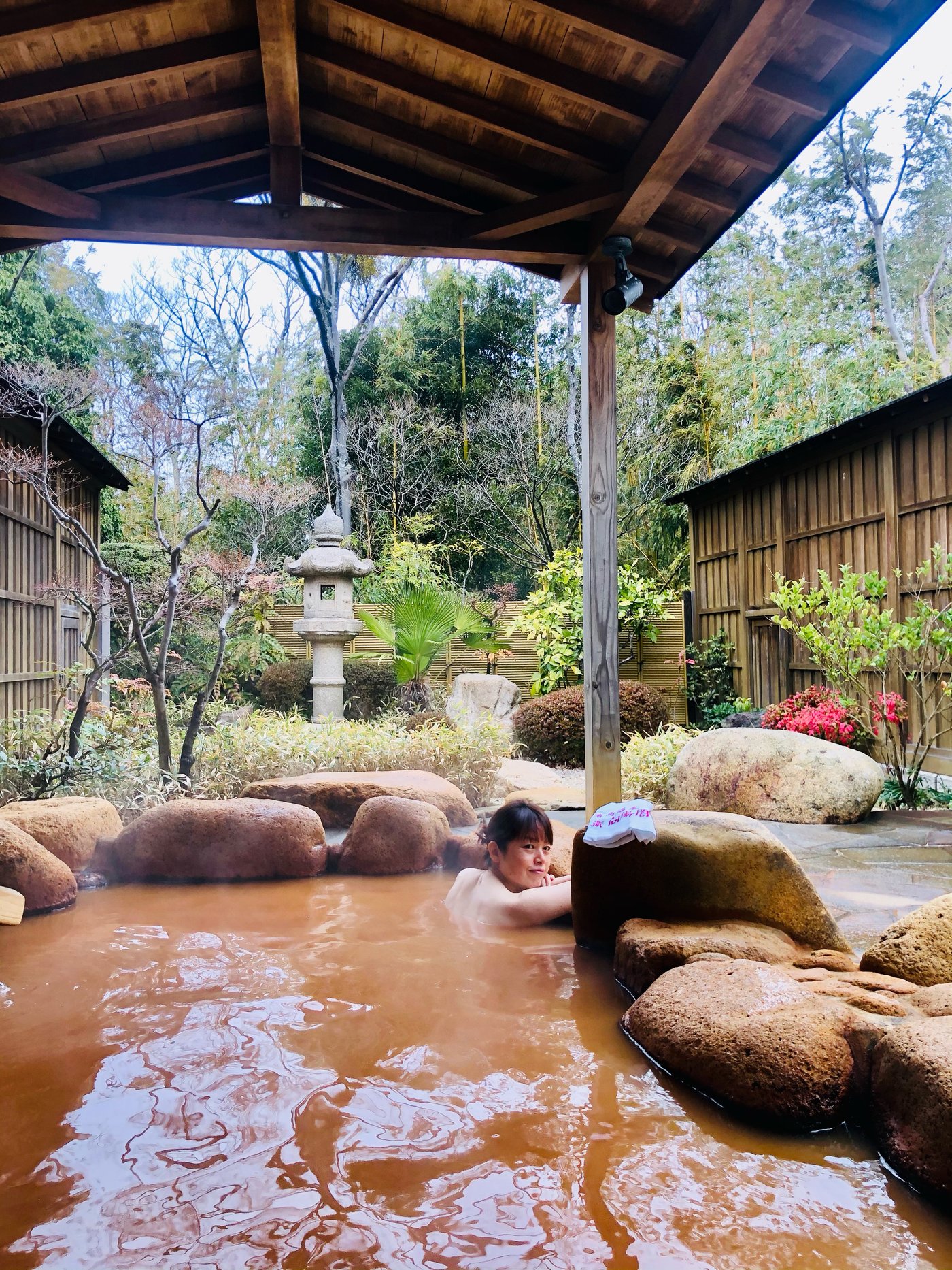 旅猫あや14