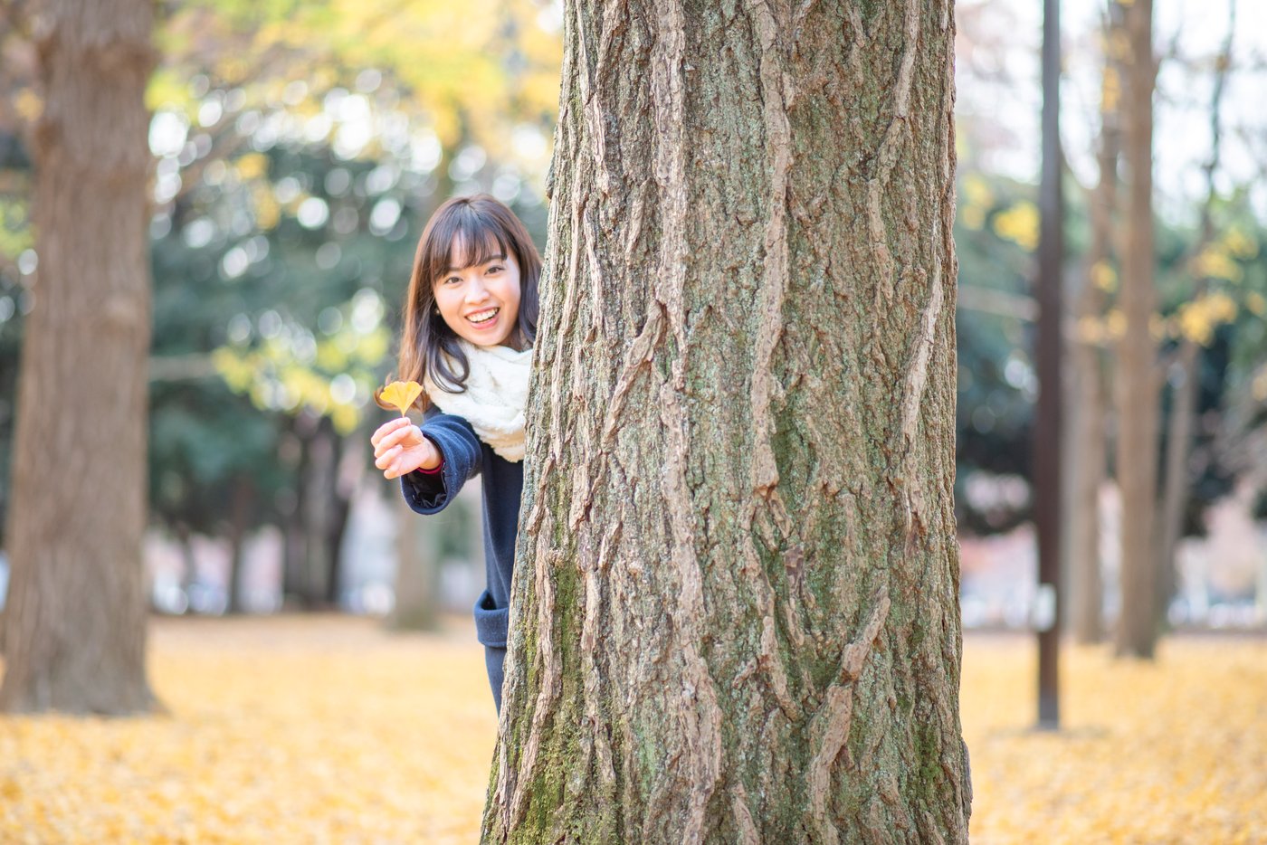 SAORI5