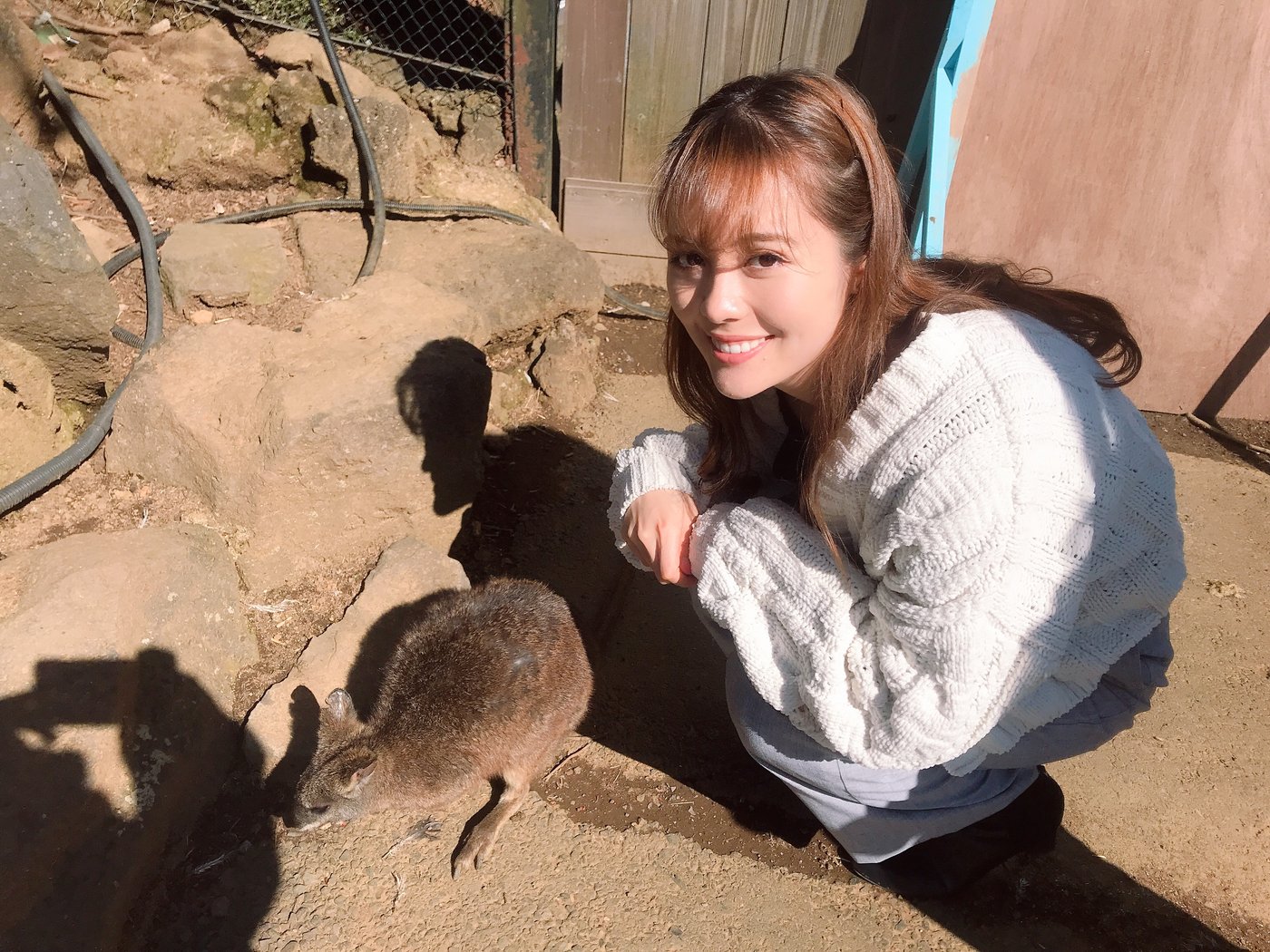 サラ8