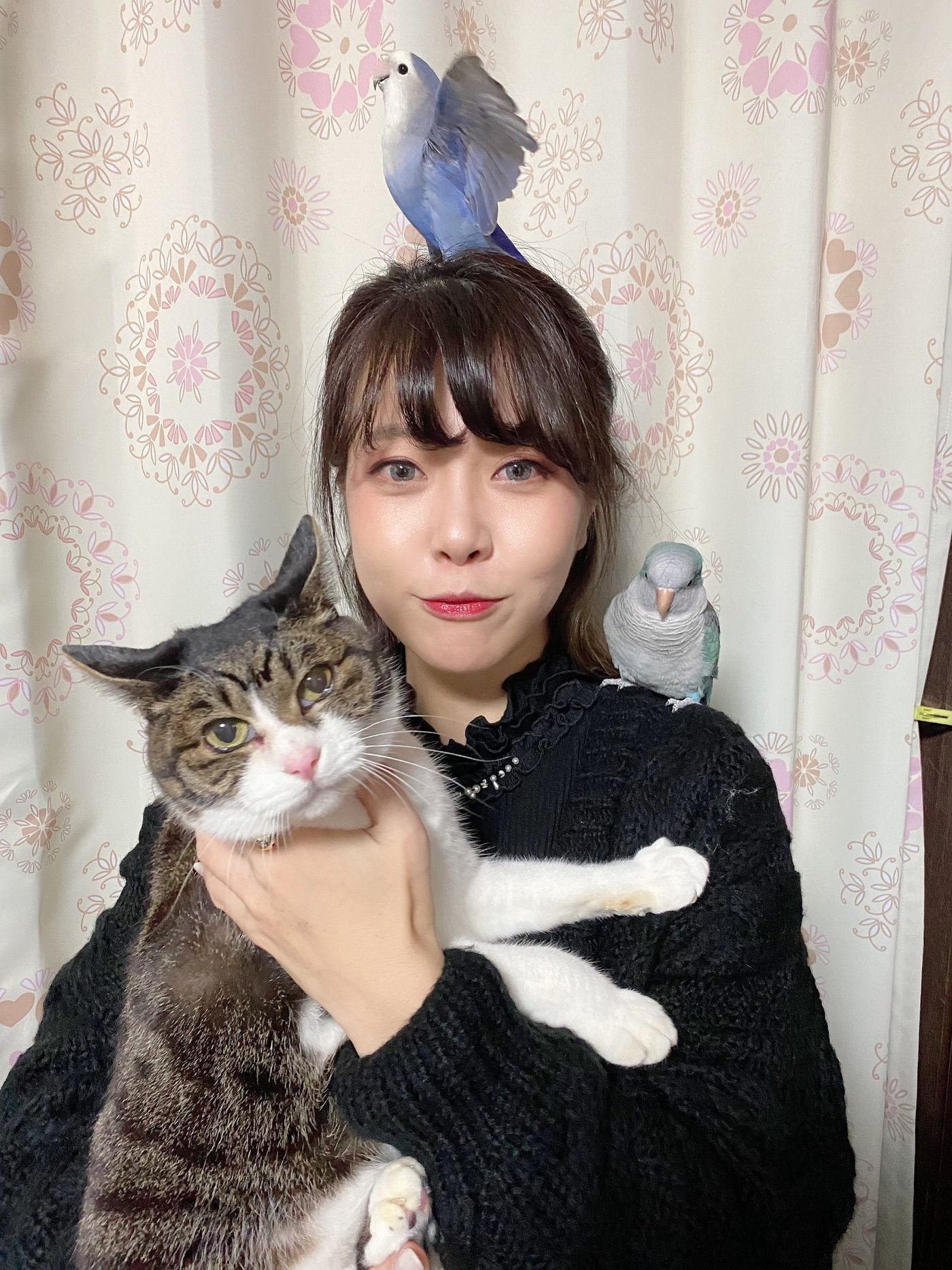 つくぴよ2