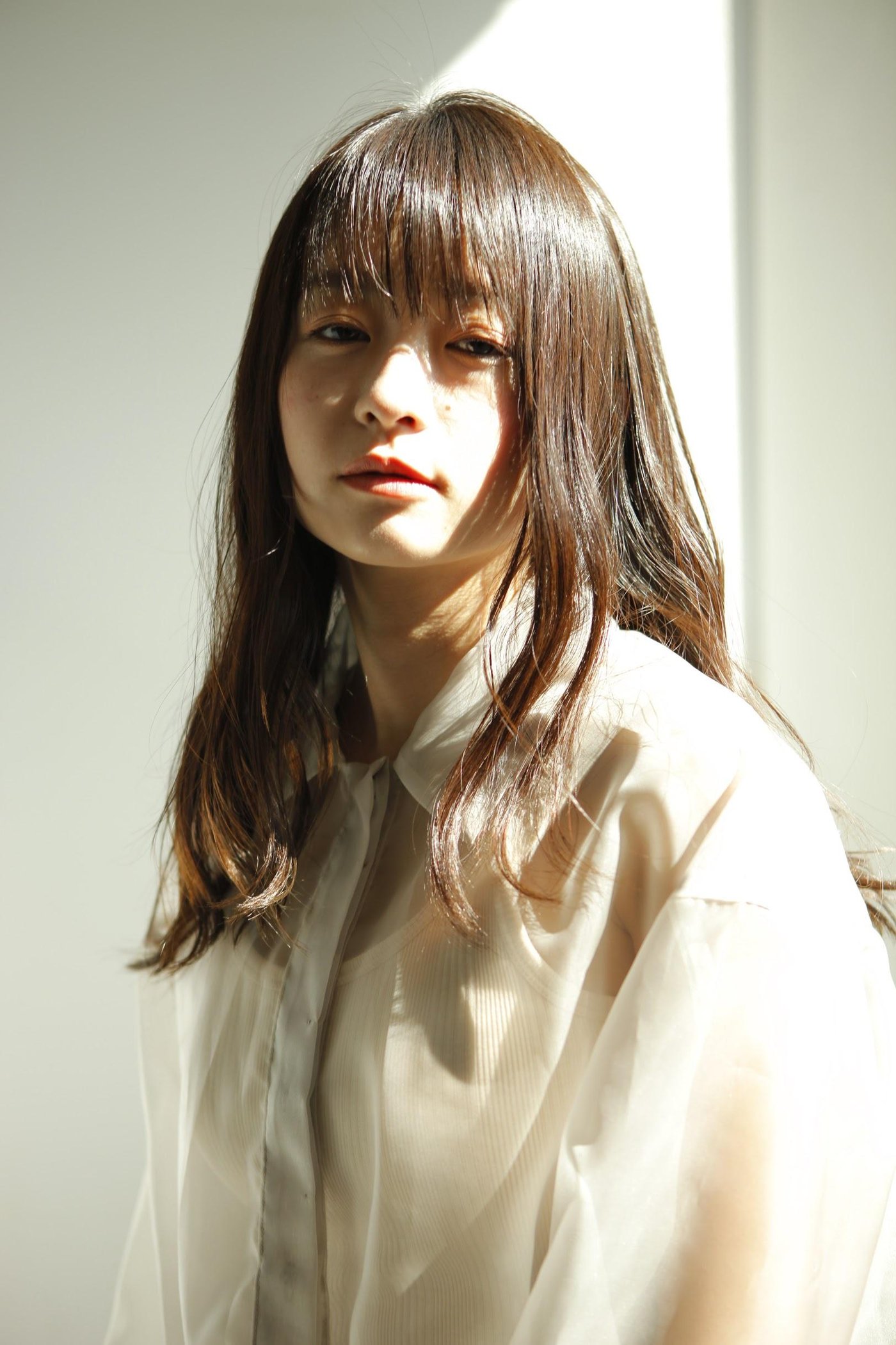 香菜11