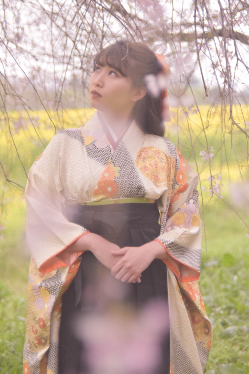 imari6