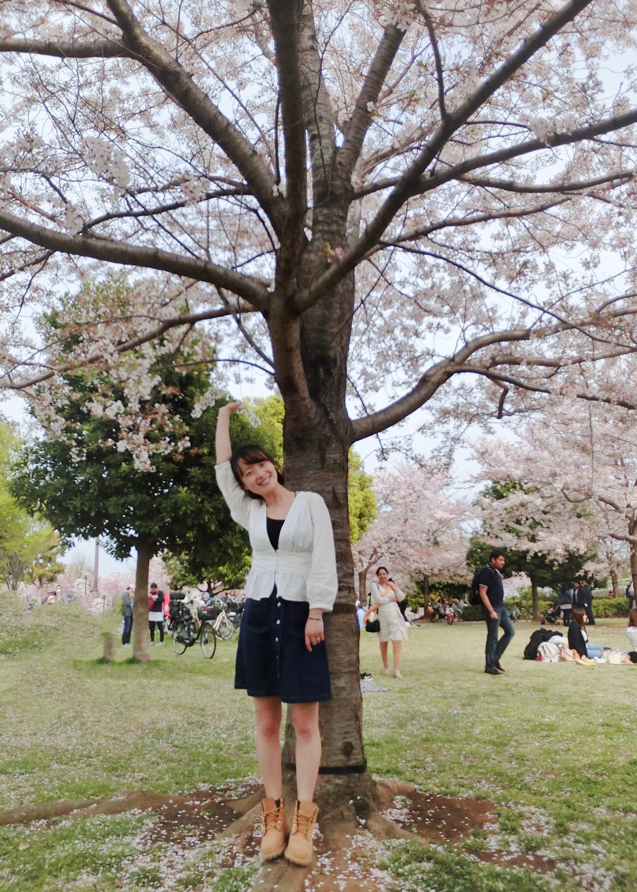 石淼14