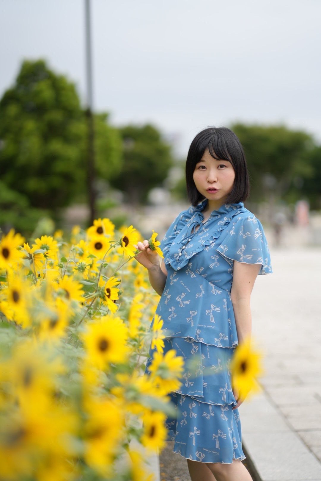 hachi12