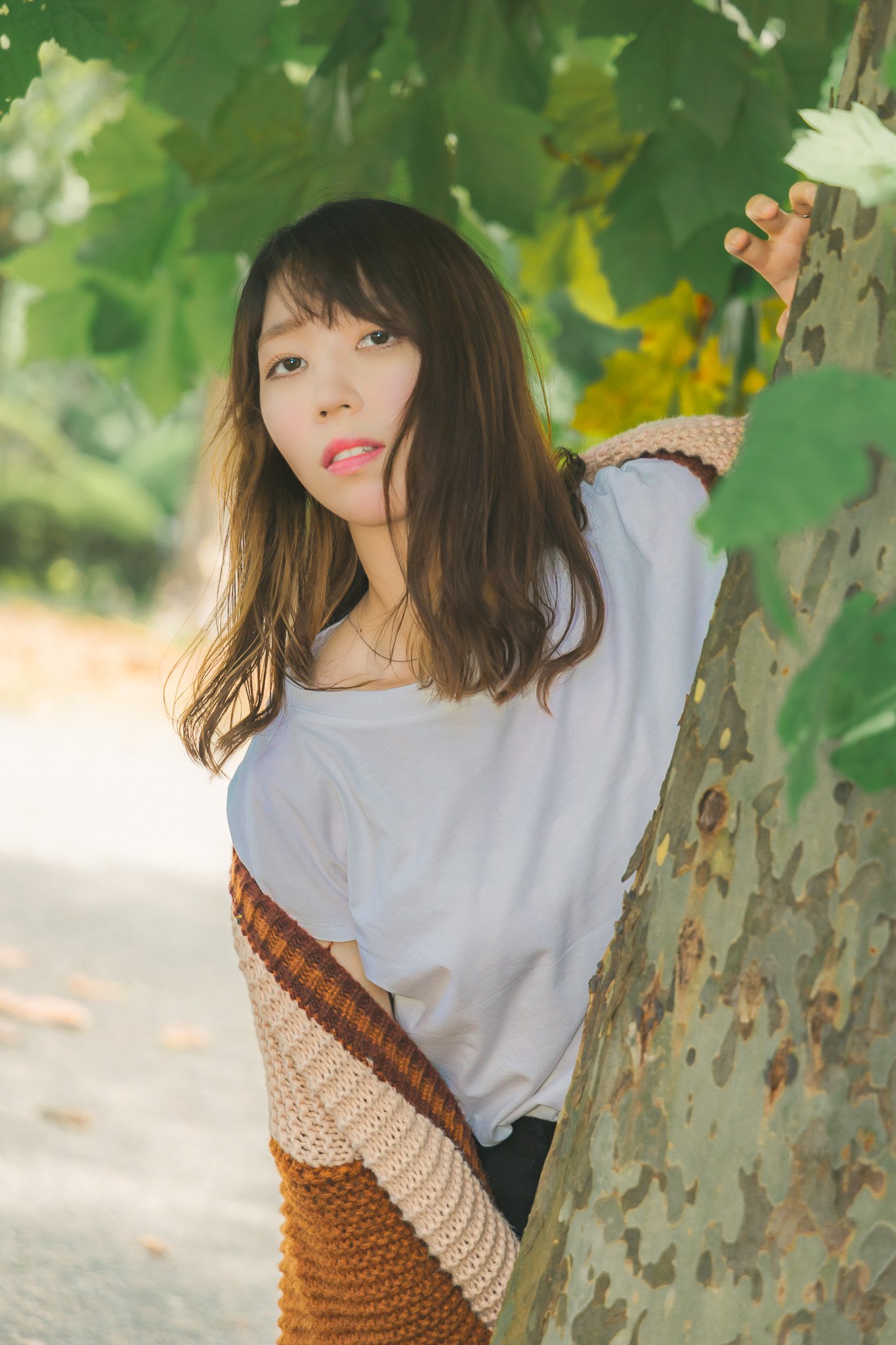 HONAMI6