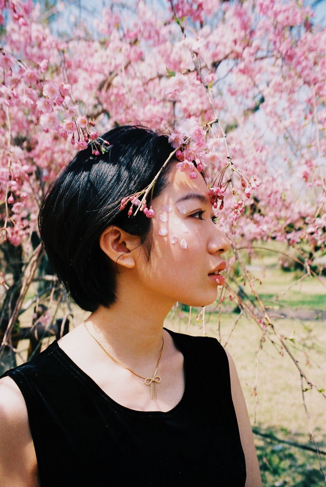 芽衣子2