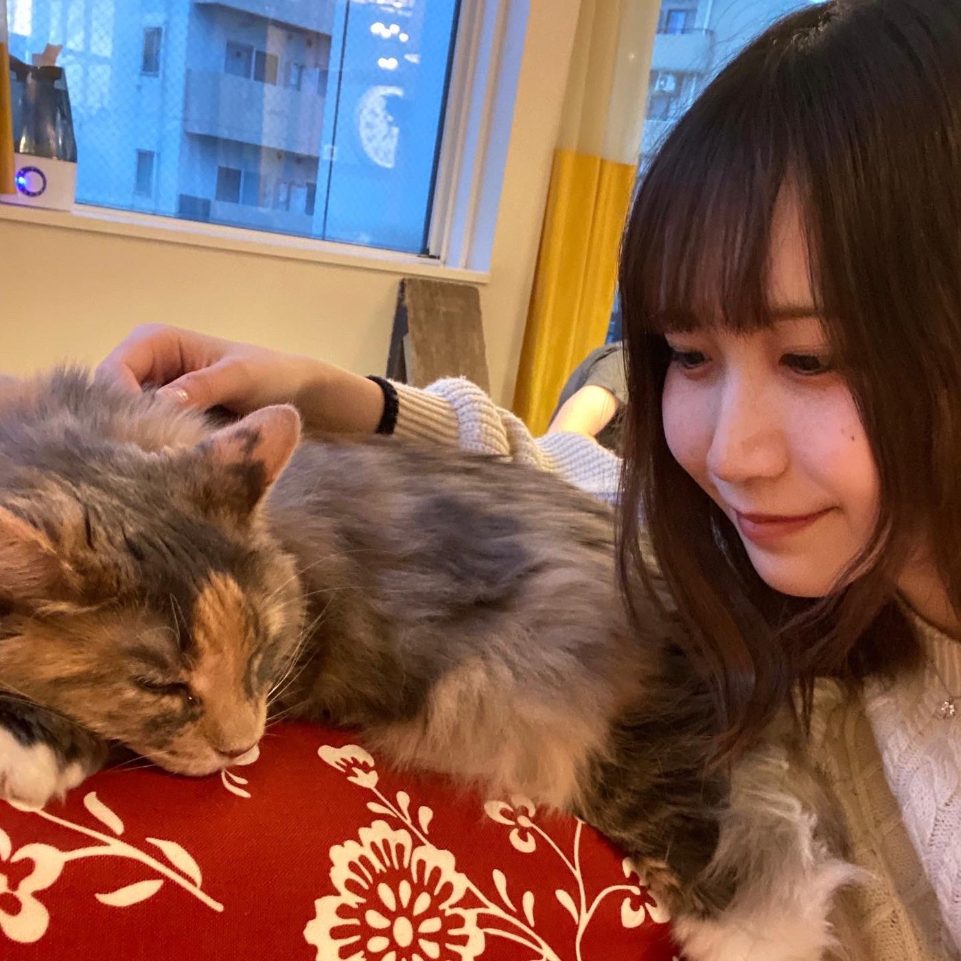 加藤杏1