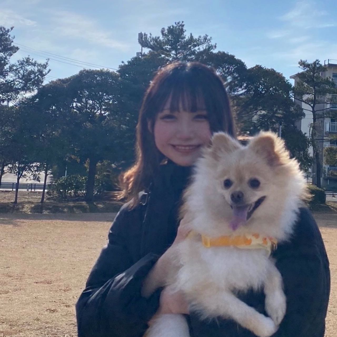 加藤杏2