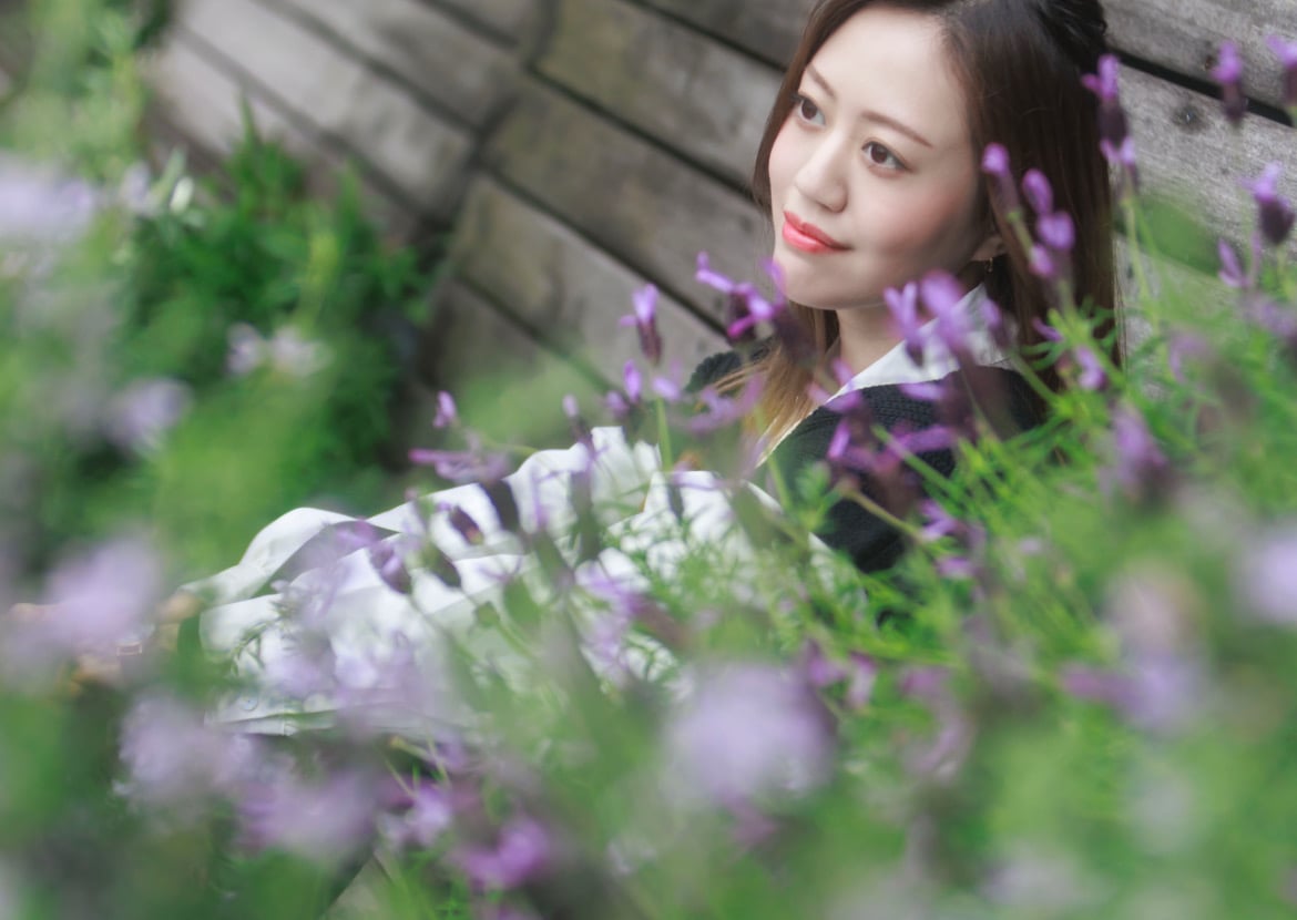 Sakura11