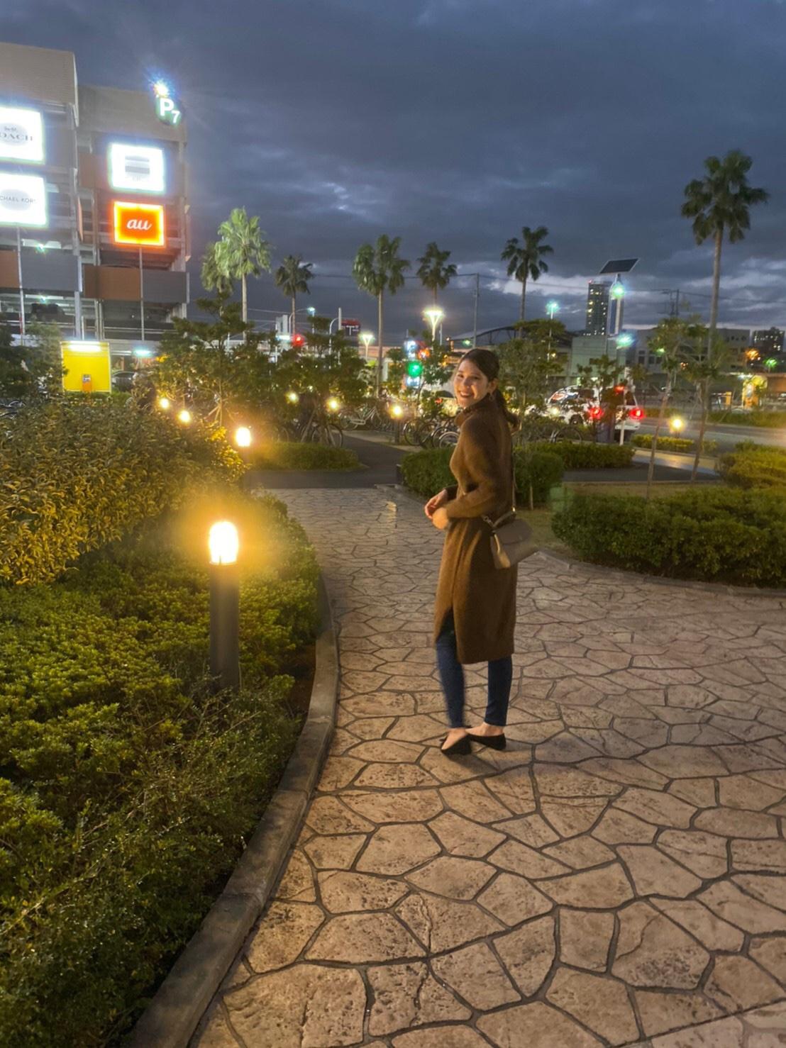 杉 星花8