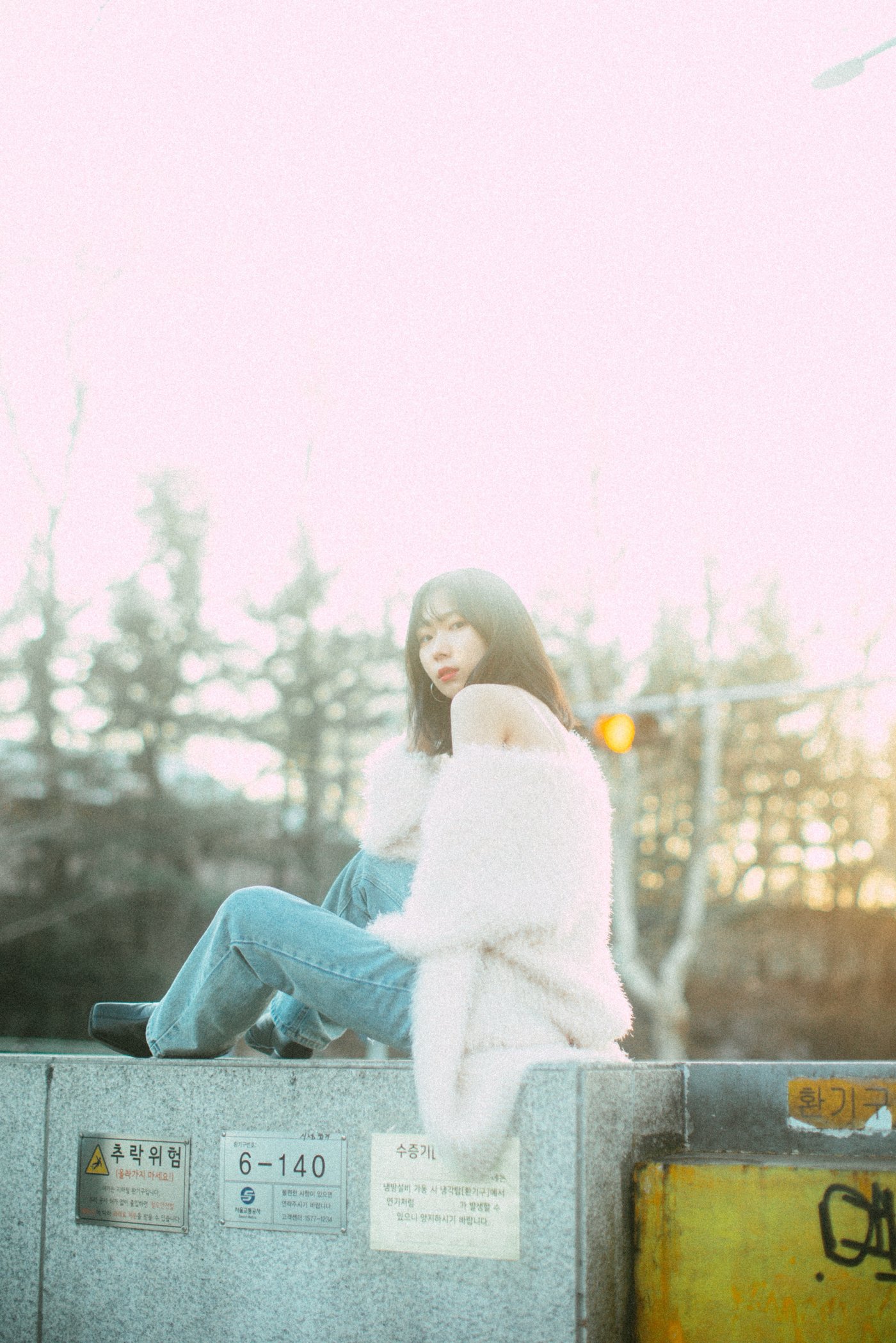 シニ8