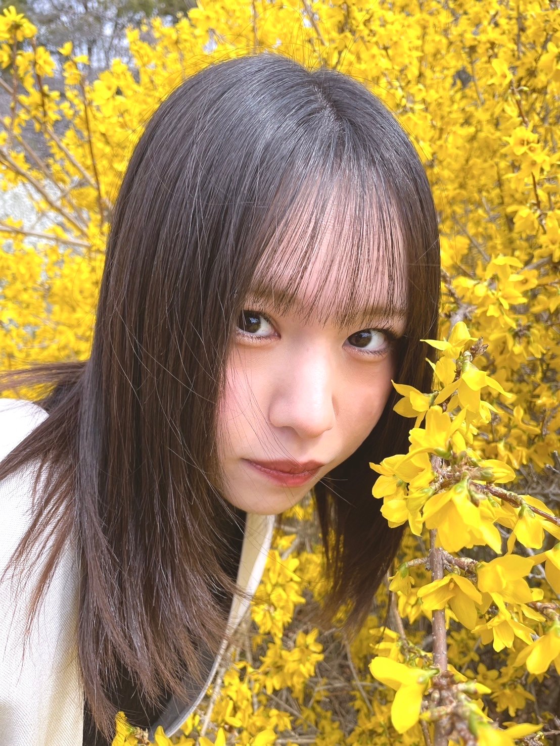 メロウ6