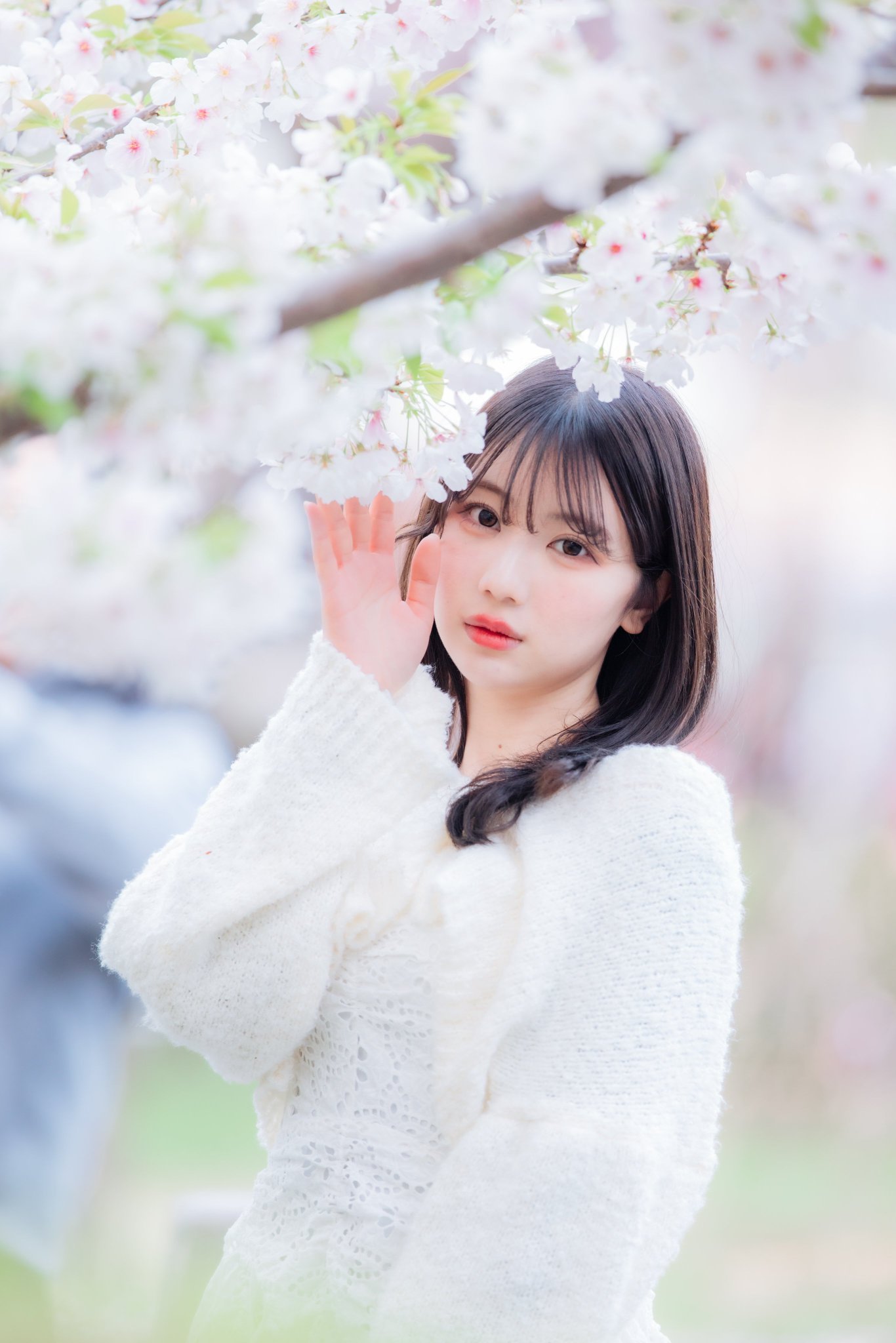 町さくら1
