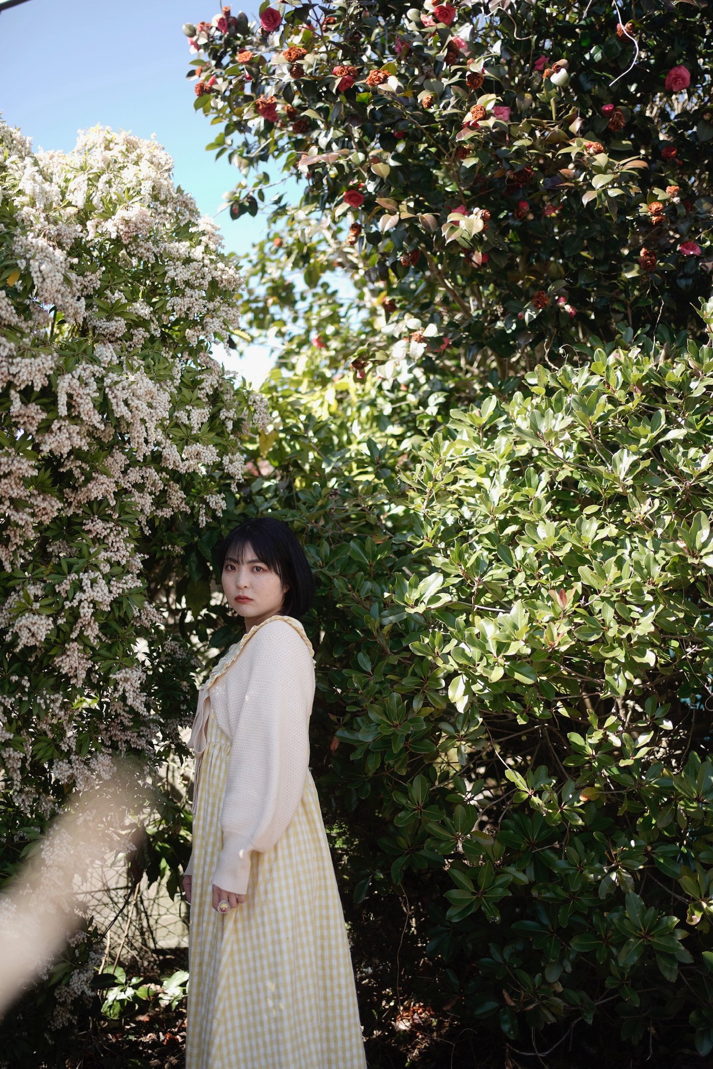 天希明日香2