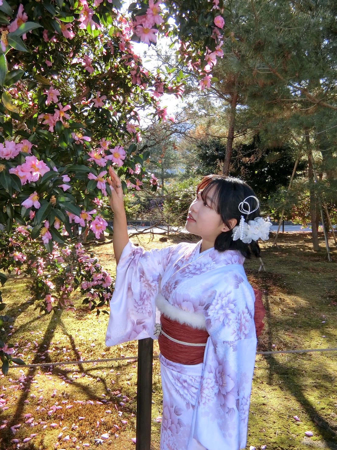 葵2