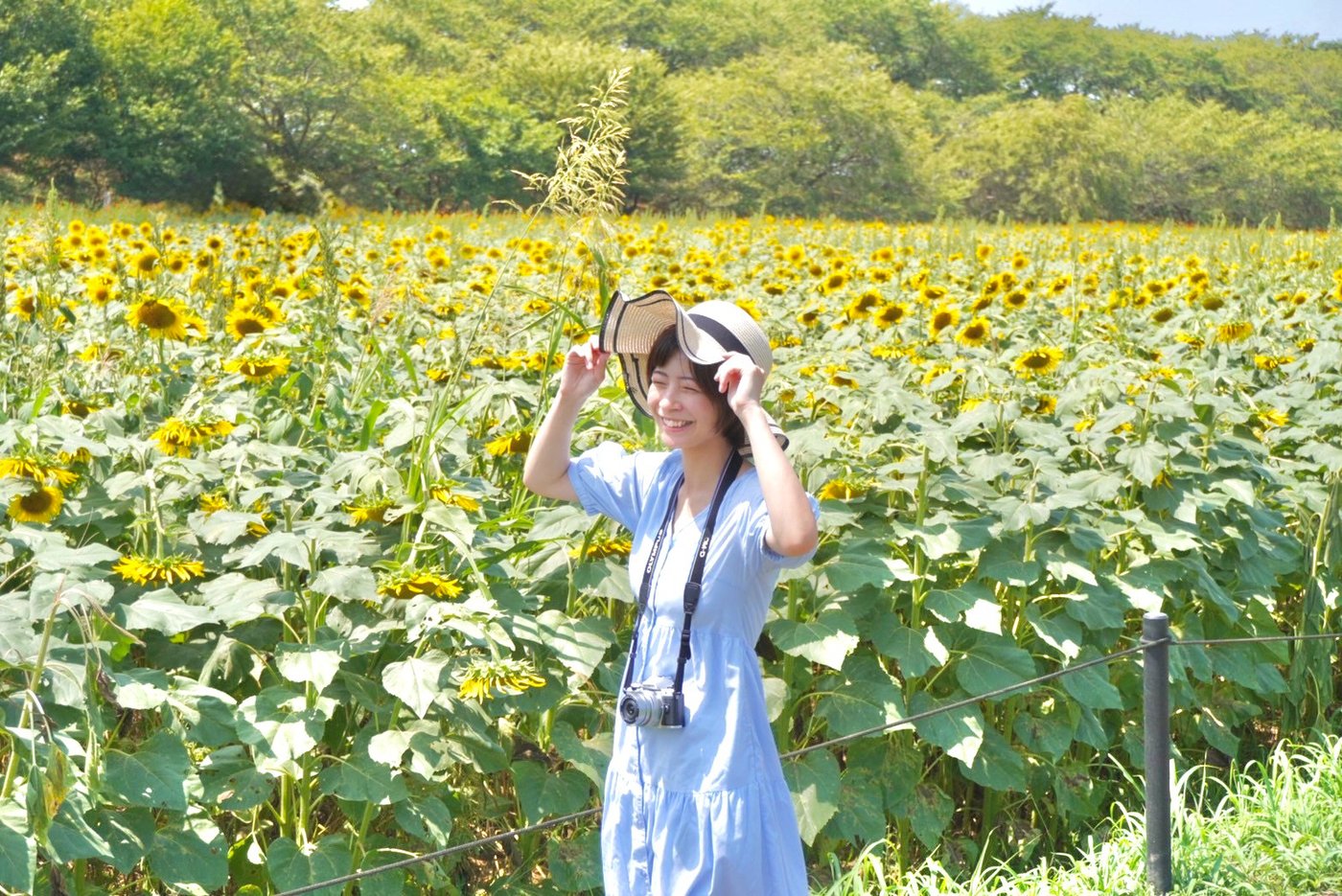 Kumi7