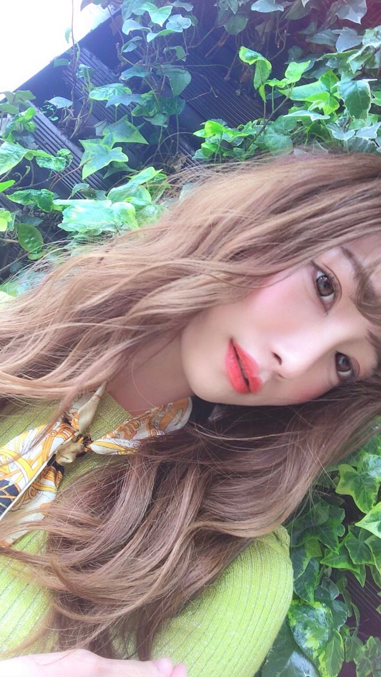 ELISA14