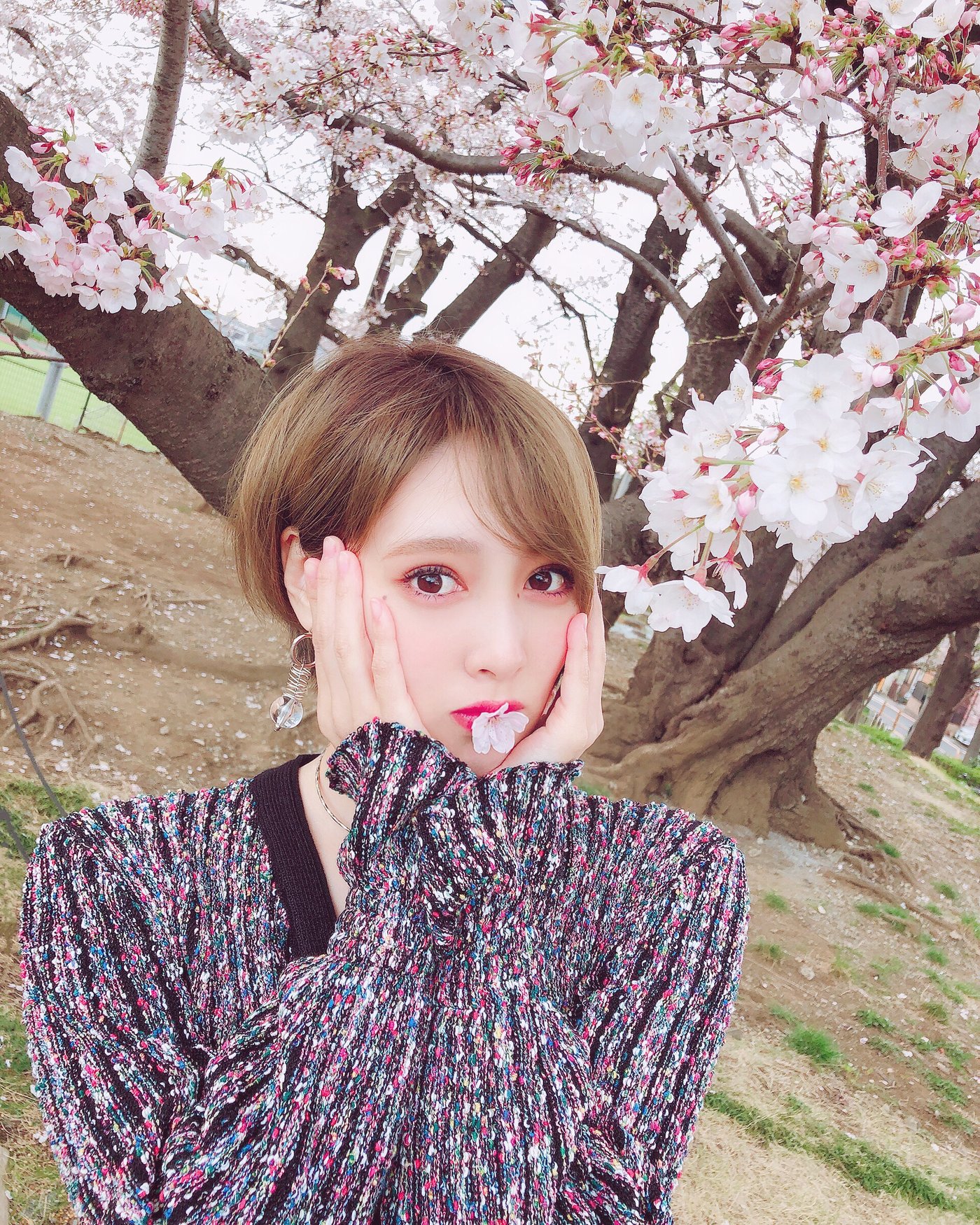 森彩香3